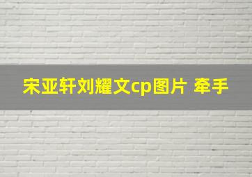 宋亚轩刘耀文cp图片 牵手